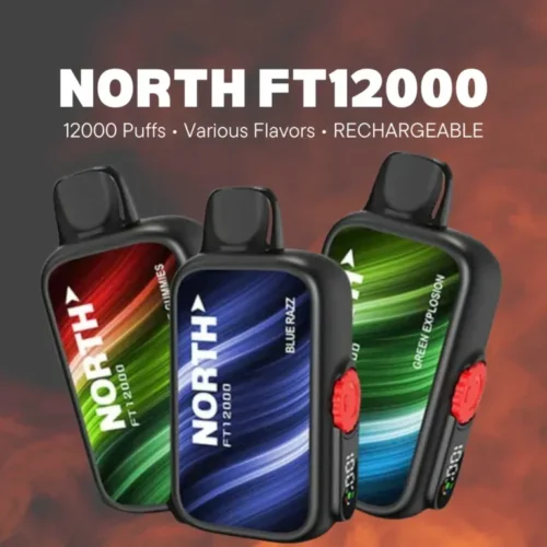 North FT12000 Vape Desechable al mejor precio | Vapelab